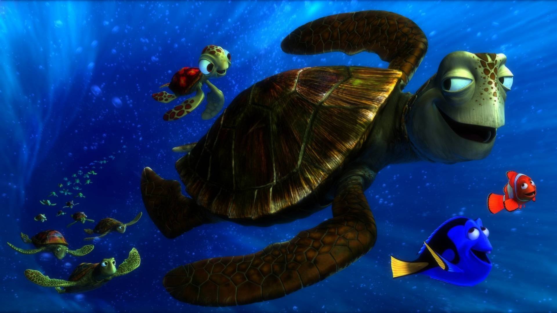 finding, Nemo, Animation, Underwater, Sea, Ocean, Tropical, Fish,  Adventure, Family, Comedy, Drama, Disney, 1finding nemo, Turtle Wallpapers  HD / Desktop and Mobile Backgrounds