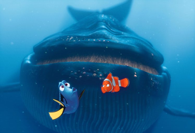finding, Nemo, Animation, Underwater, Sea, Ocean, Tropical, Fish, Adventure, Family, Comedy, Drama, Disney, 1finding nemo, Shark, Whale HD Wallpaper Desktop Background