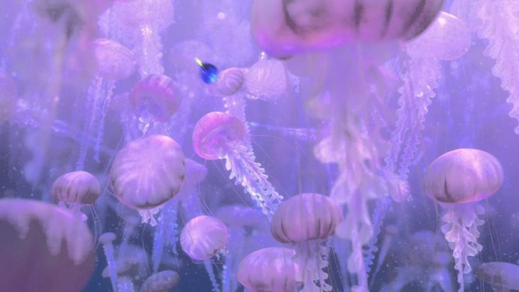 finding, Nemo, Animation, Underwater, Sea, Ocean, Tropical, Fish, Adventure, Family, Comedy, Drama, Disney, 1finding nemo, Jellyfish HD Wallpaper Desktop Background