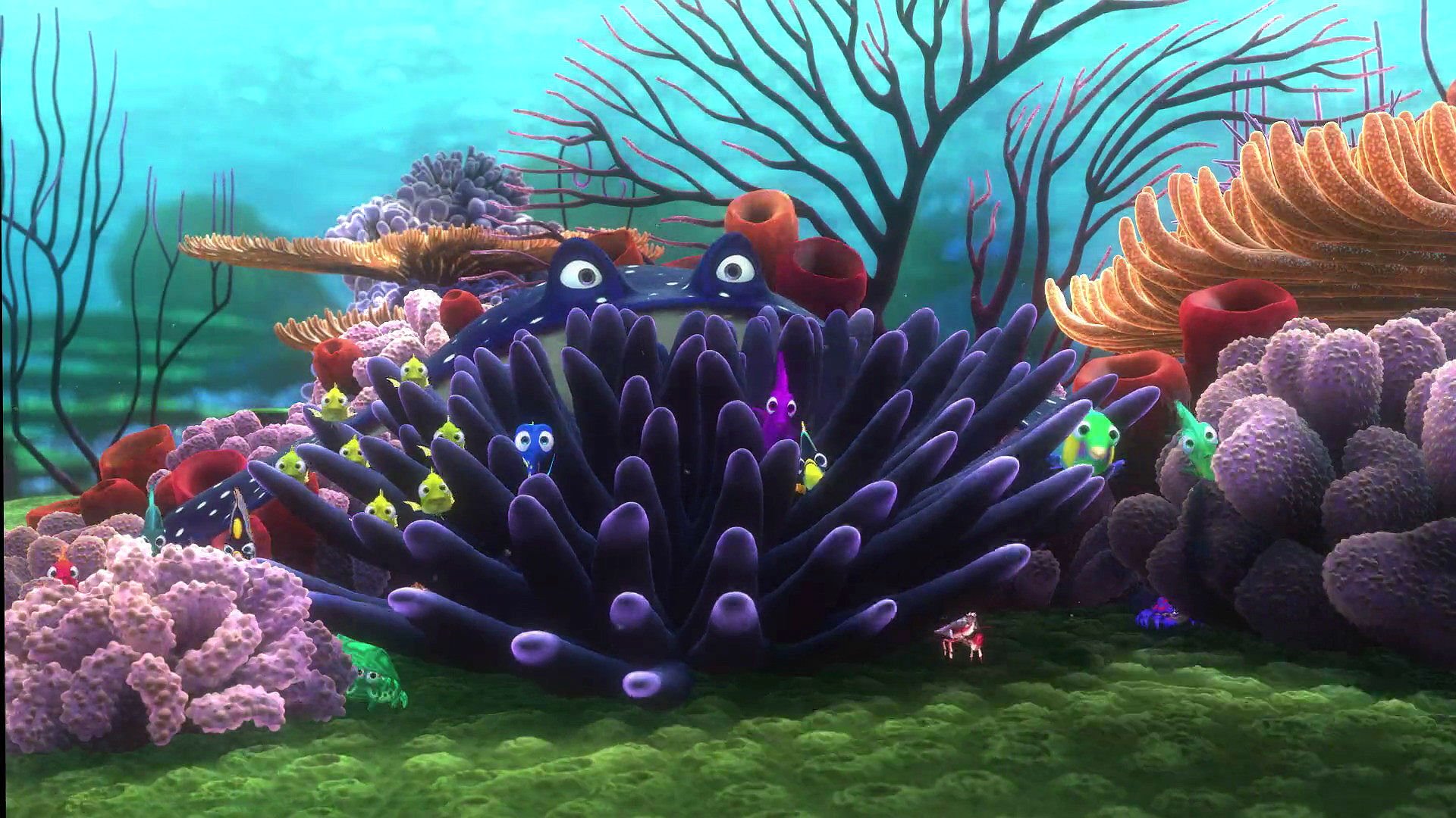 Finding Nemo Deep Sea Fish