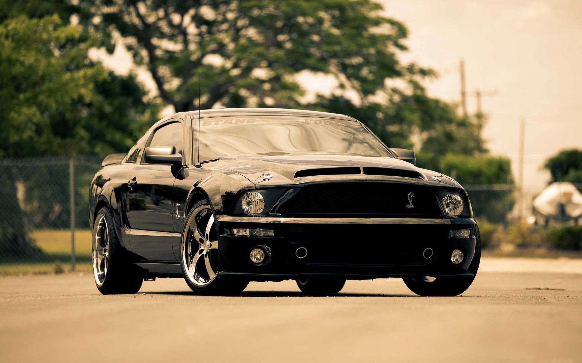 cars, Vehicles, Ford, Mustang Wallpaper