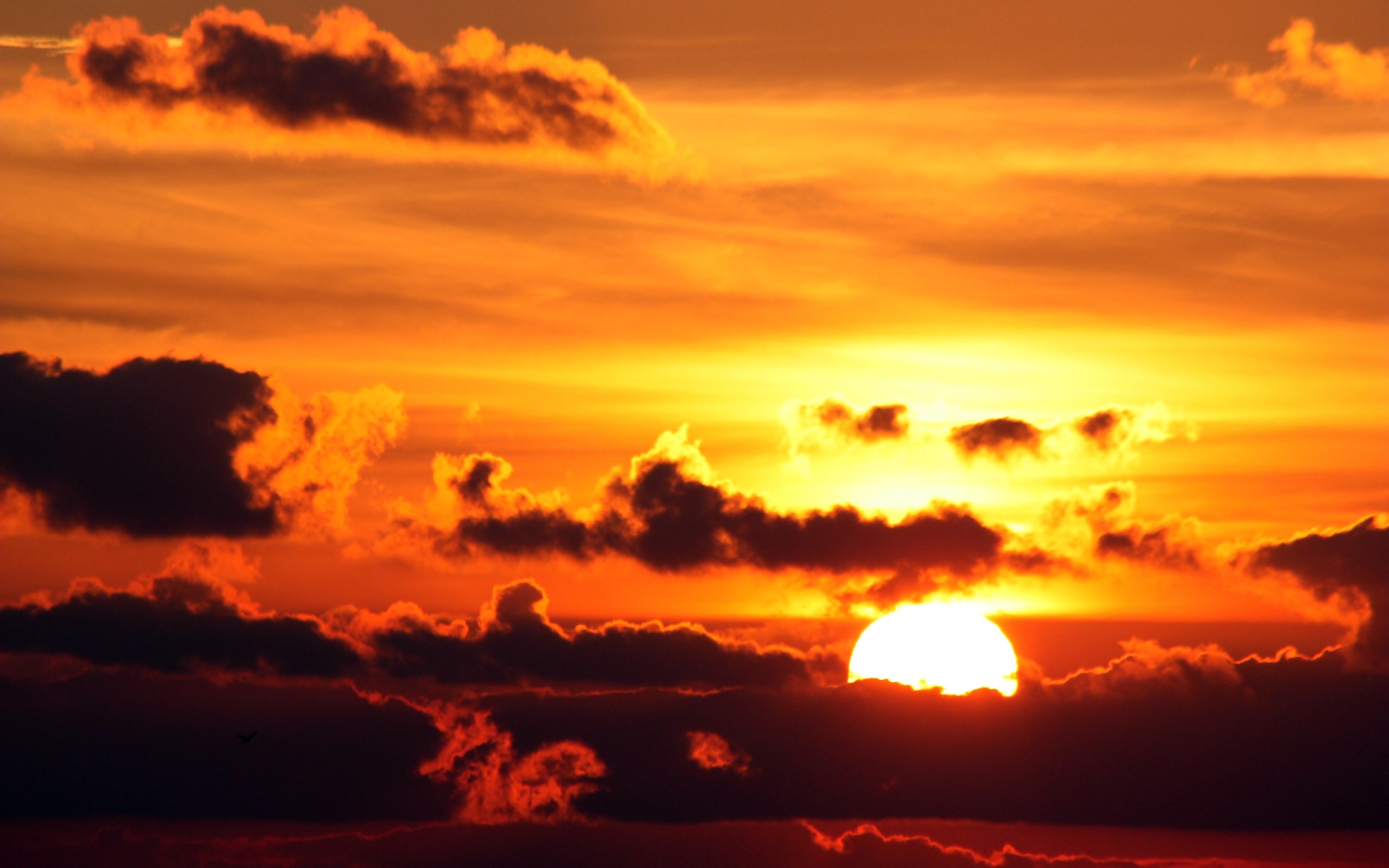 sunset, Clouds, Landscapes, Nature, Sun, Skyscapes Wallpaper