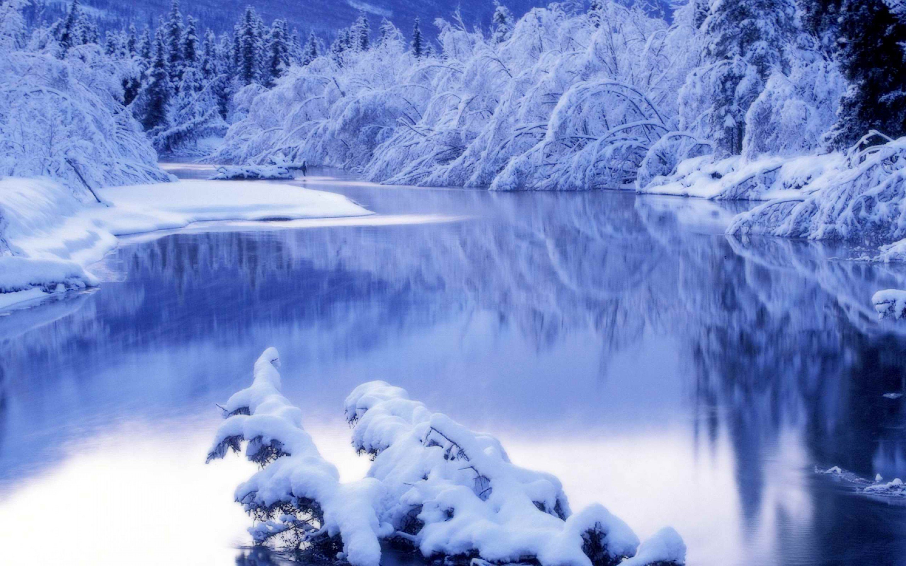 winter Wallpaper