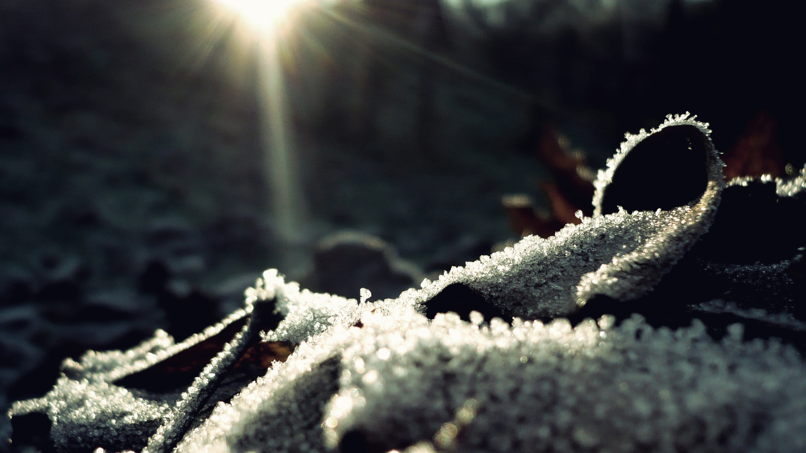 sunlight, Frost Wallpaper