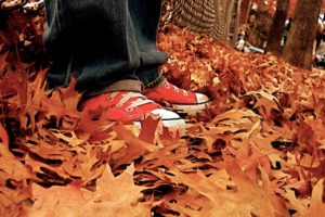 autumn,  season , Shoes, Converse, Sneakers