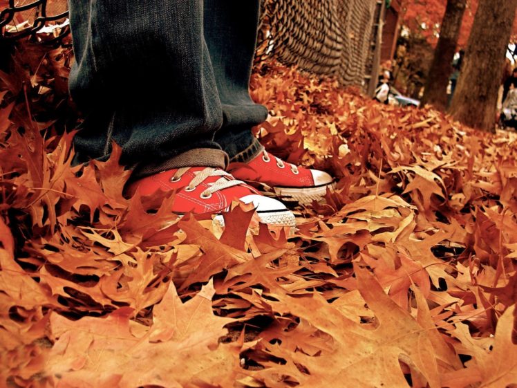 autumn,  season , Shoes, Converse, Sneakers HD Wallpaper Desktop Background