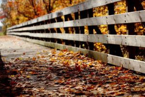 autumn,  season , Fences, Path