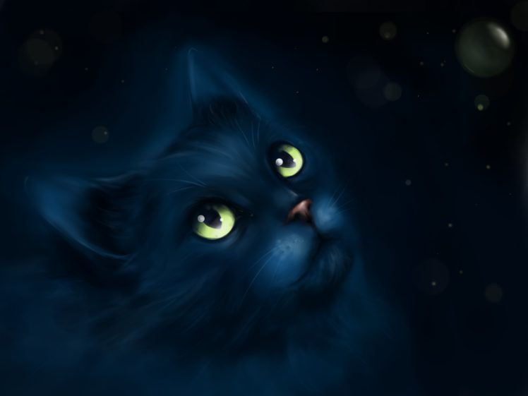 cat, Fantasy, Eyes, Kitty HD Wallpaper Desktop Background