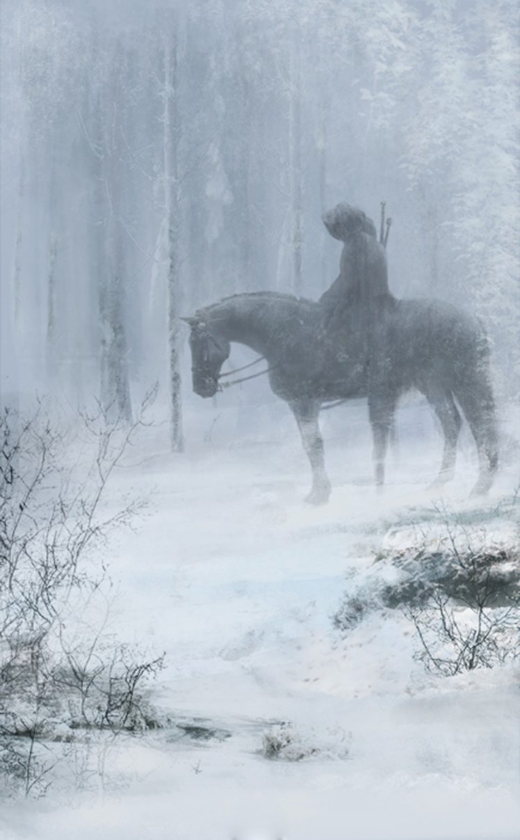 winter, Snow, Tree, Forest, Fantasy, Horse, Animal, Male, Sword HD Wallpaper Desktop Background