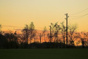 landscapes, Nature, Trees, Power, Lines