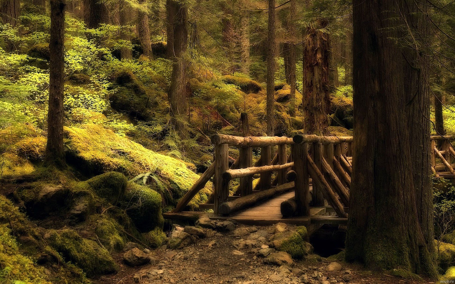 571295 Wallpaper