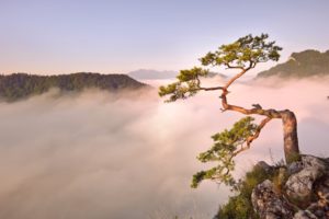 mountains, Clouds, Landscapes, Trees, Fog