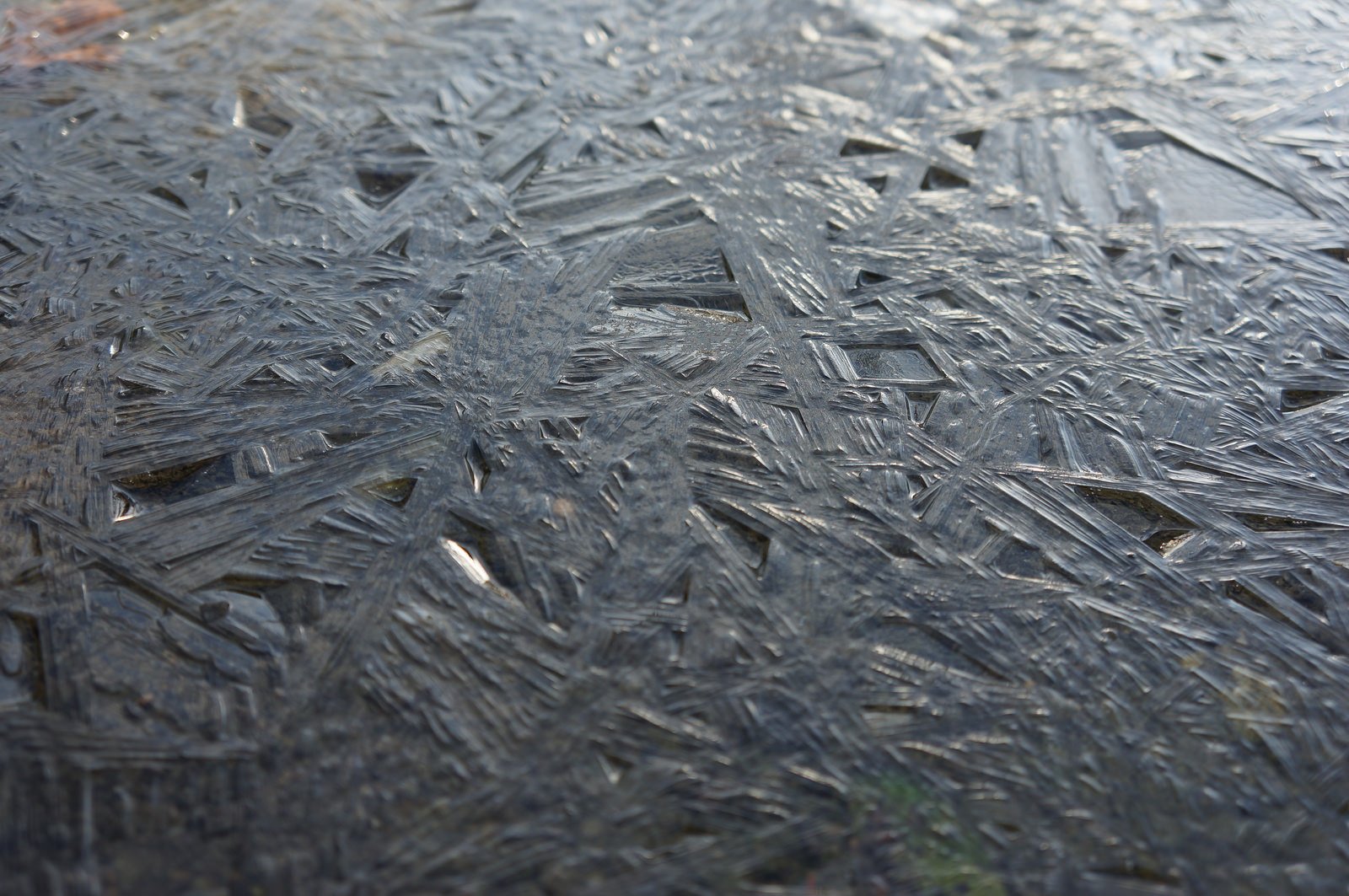 nature, Ice, Winter, Macro, Textures, Reflexions, Sculptures, Water, Art, Frozen Wallpaper