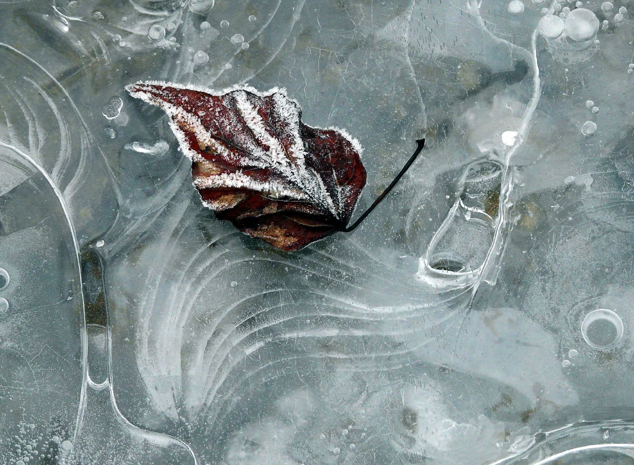 nature, Ice, Winter, Macro, Textures, Reflexions, Sculptures, Water, Art, Frozen Wallpaper