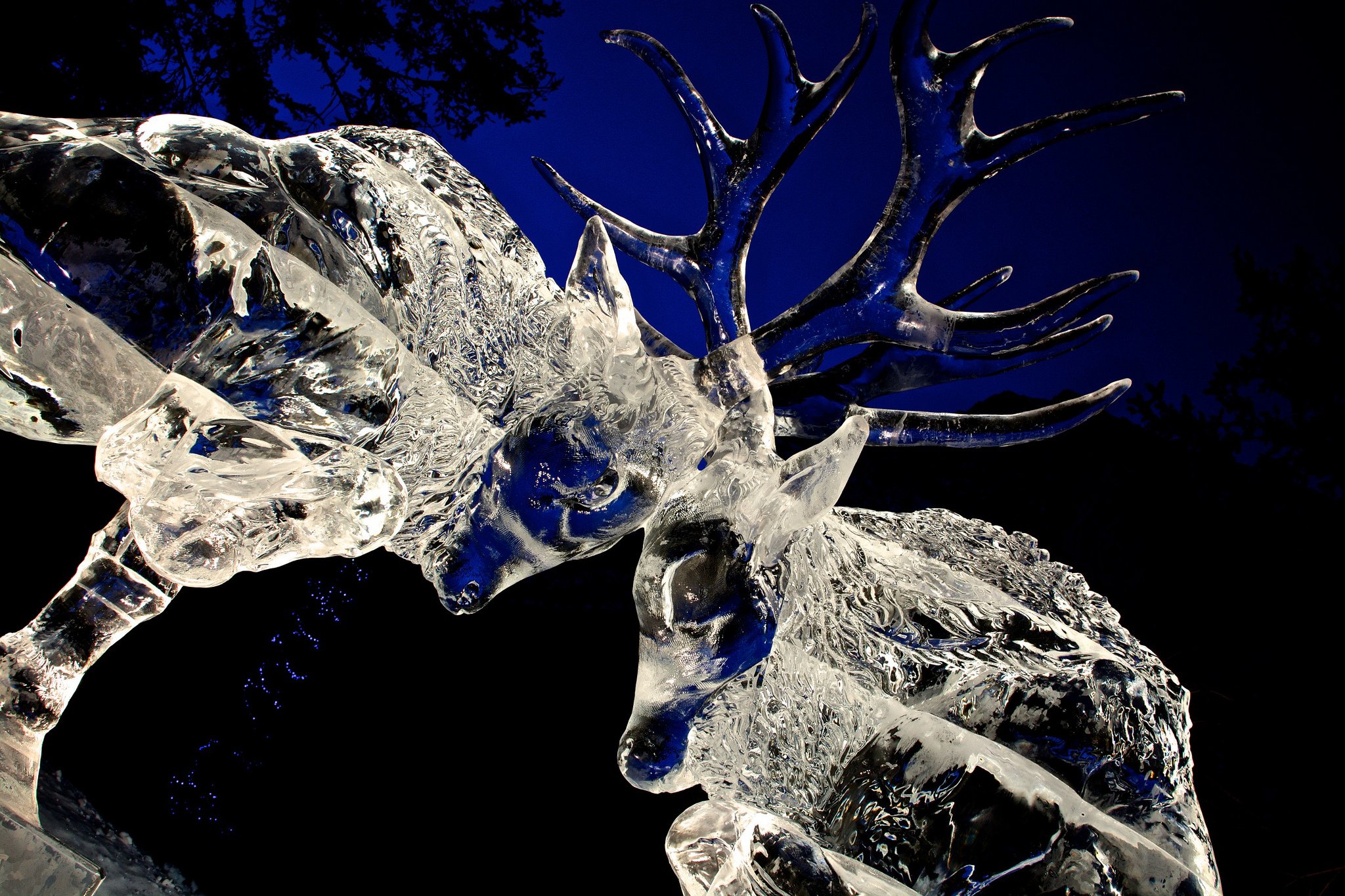 nature, Ice, Winter, Macro, Textures, Reflexions, Sculptures, Water, Art, Frozen Wallpaper