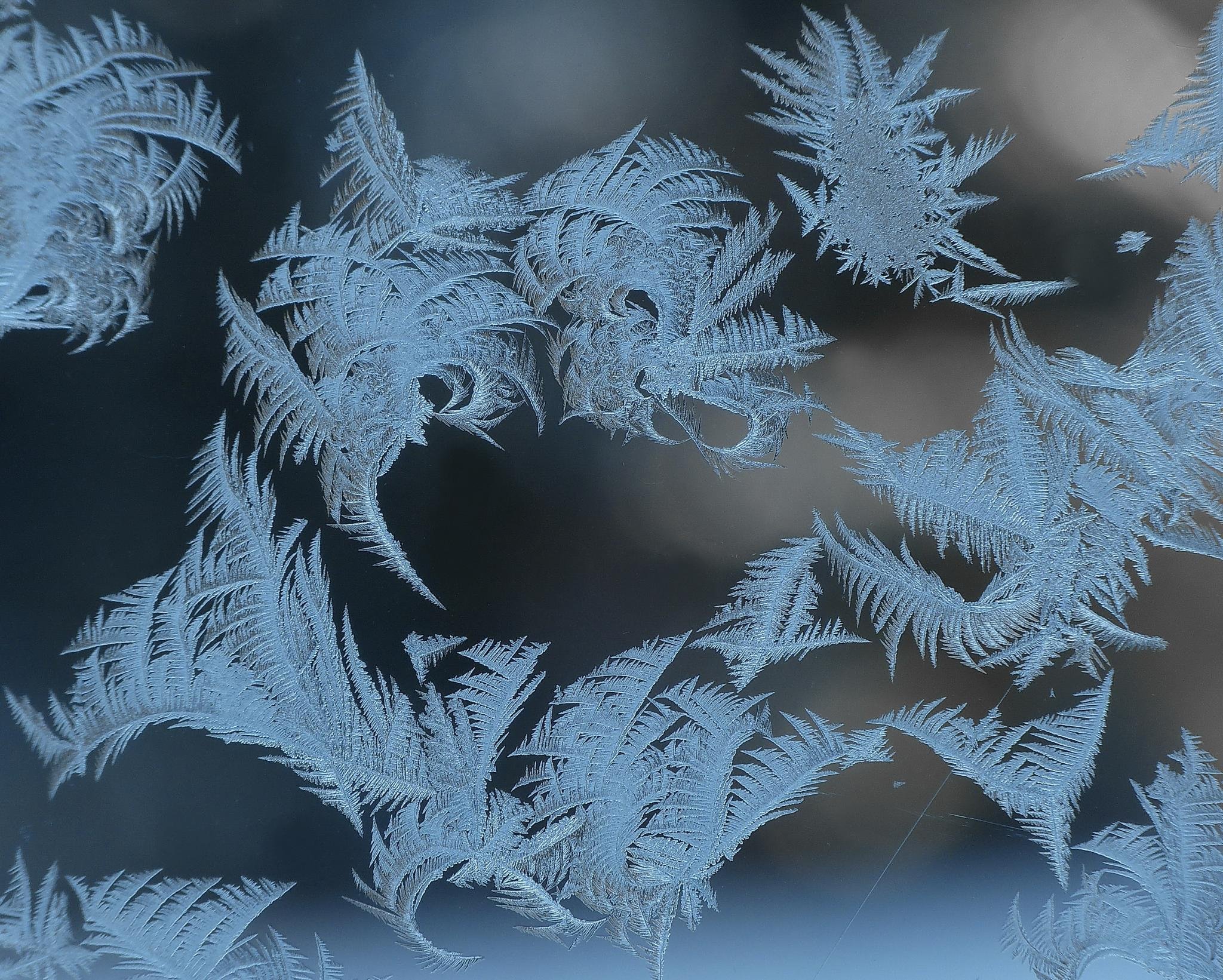 nature, Ice, Winter, Macro, Textures, Reflexions, Sculptures, Water, Art, Frozen Wallpaper