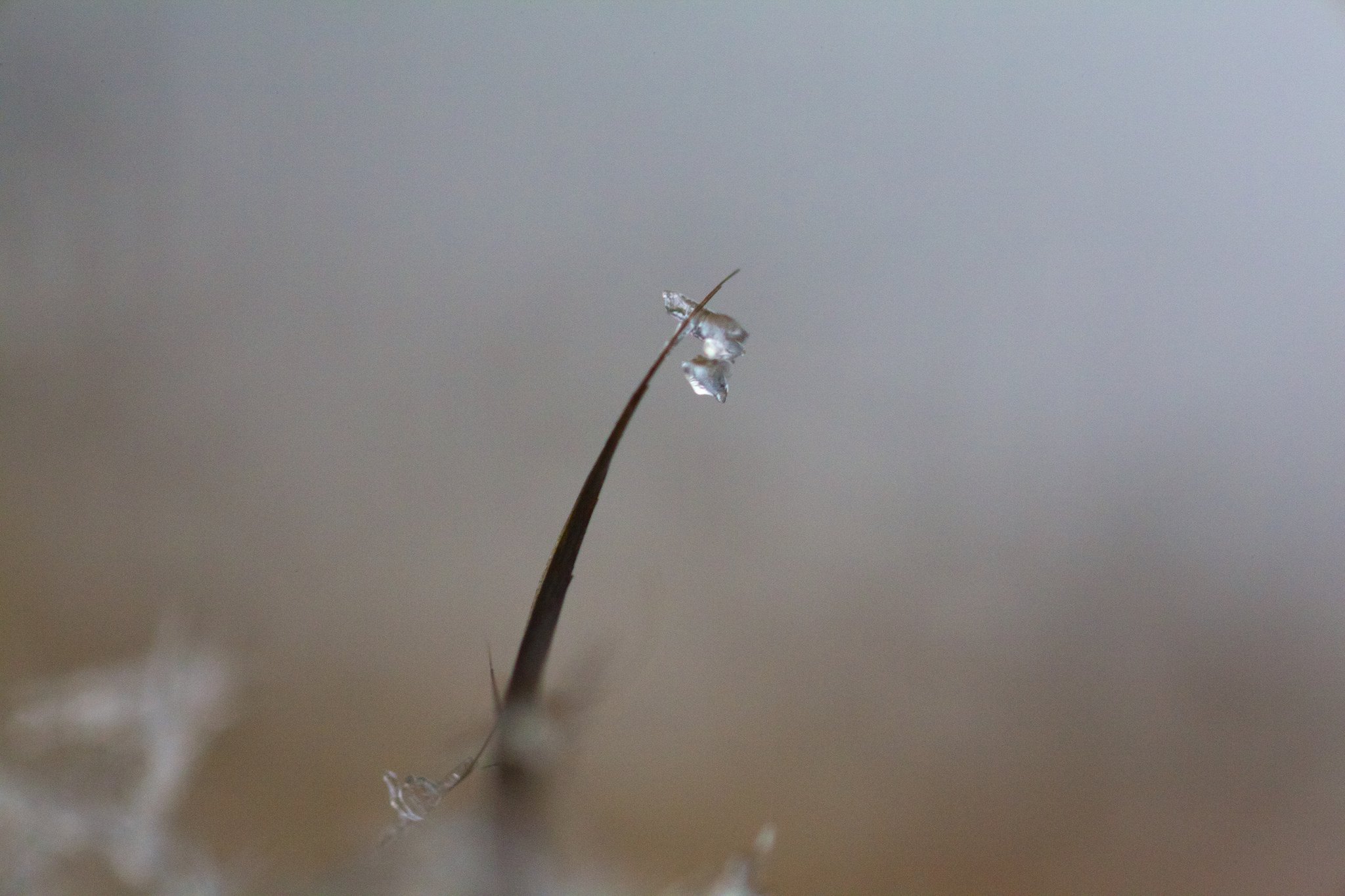 nature, Ice, Winter, Macro, Textures, Reflexions, Sculptures, Water, Art, Frozen Wallpaper