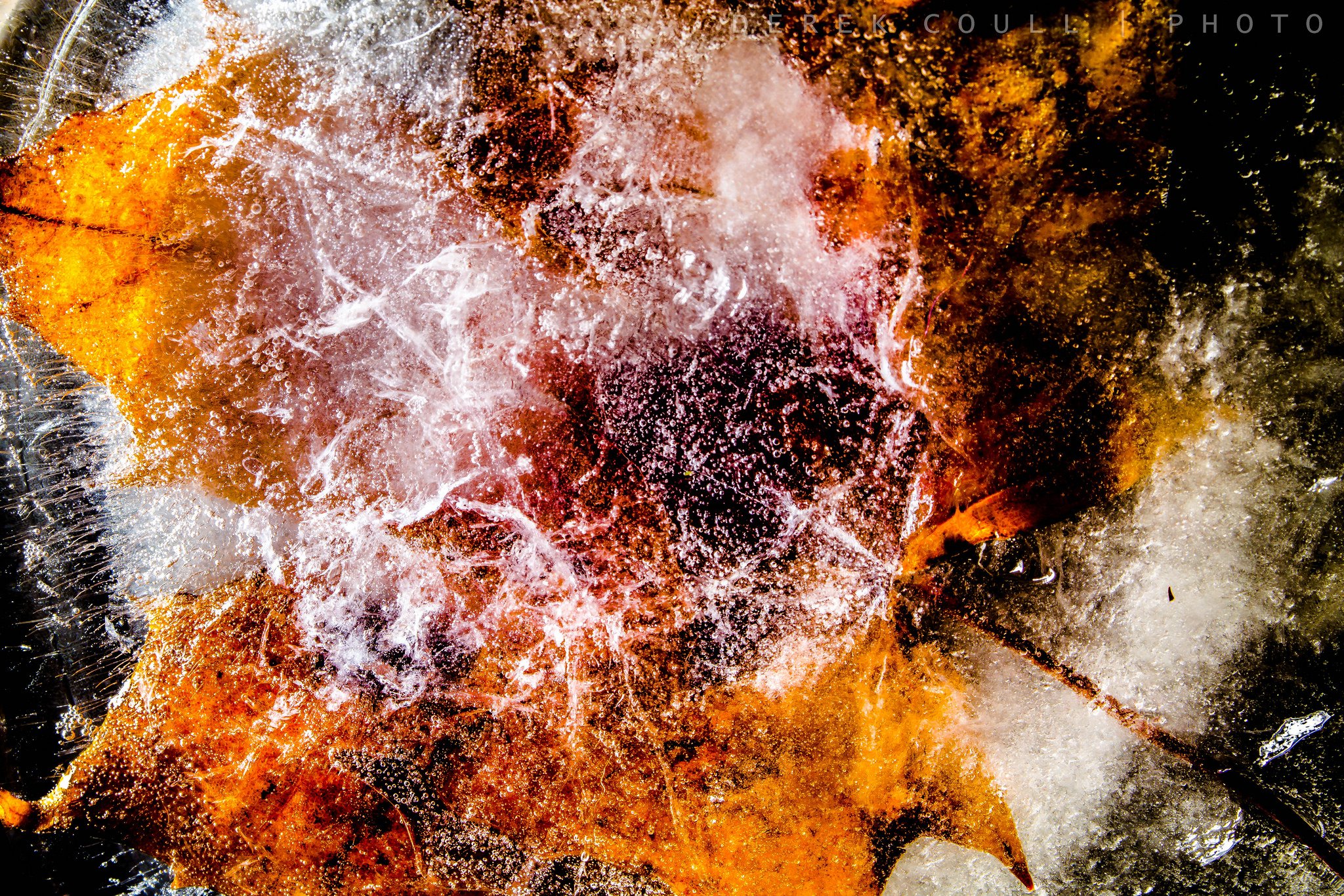 nature, Ice, Winter, Macro, Textures, Reflexions, Sculptures, Water, Art, Frozen Wallpaper