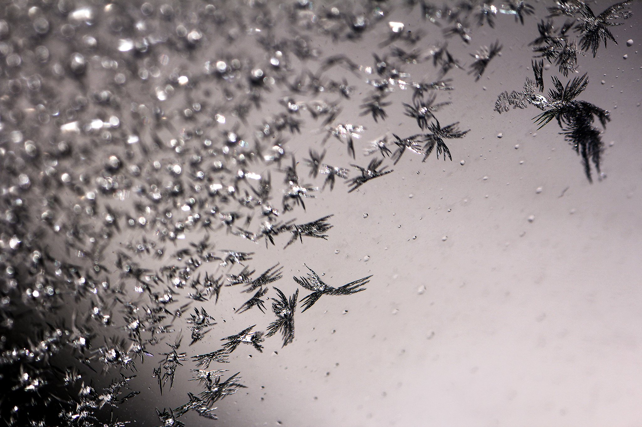 nature, Ice, Winter, Macro, Textures, Reflexions, Sculptures, Water, Art, Frozen Wallpaper