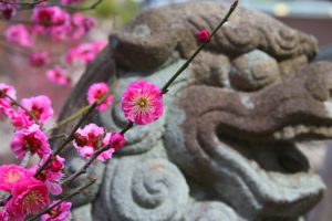 japan, Cherry, Blossoms, Flowers, Spring,  season , Statues, Pink, Flowers
