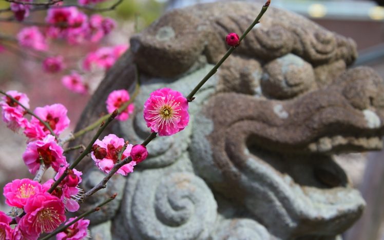japan, Cherry, Blossoms, Flowers, Spring,  season , Statues, Pink, Flowers HD Wallpaper Desktop Background