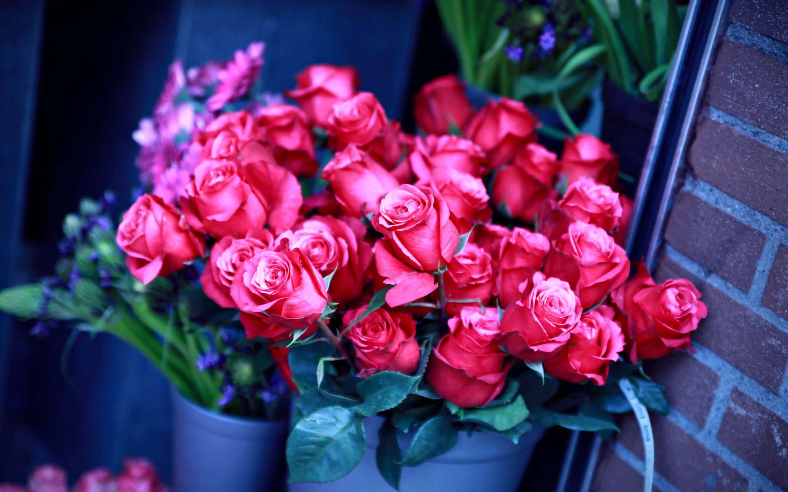 flowers Wallpaper