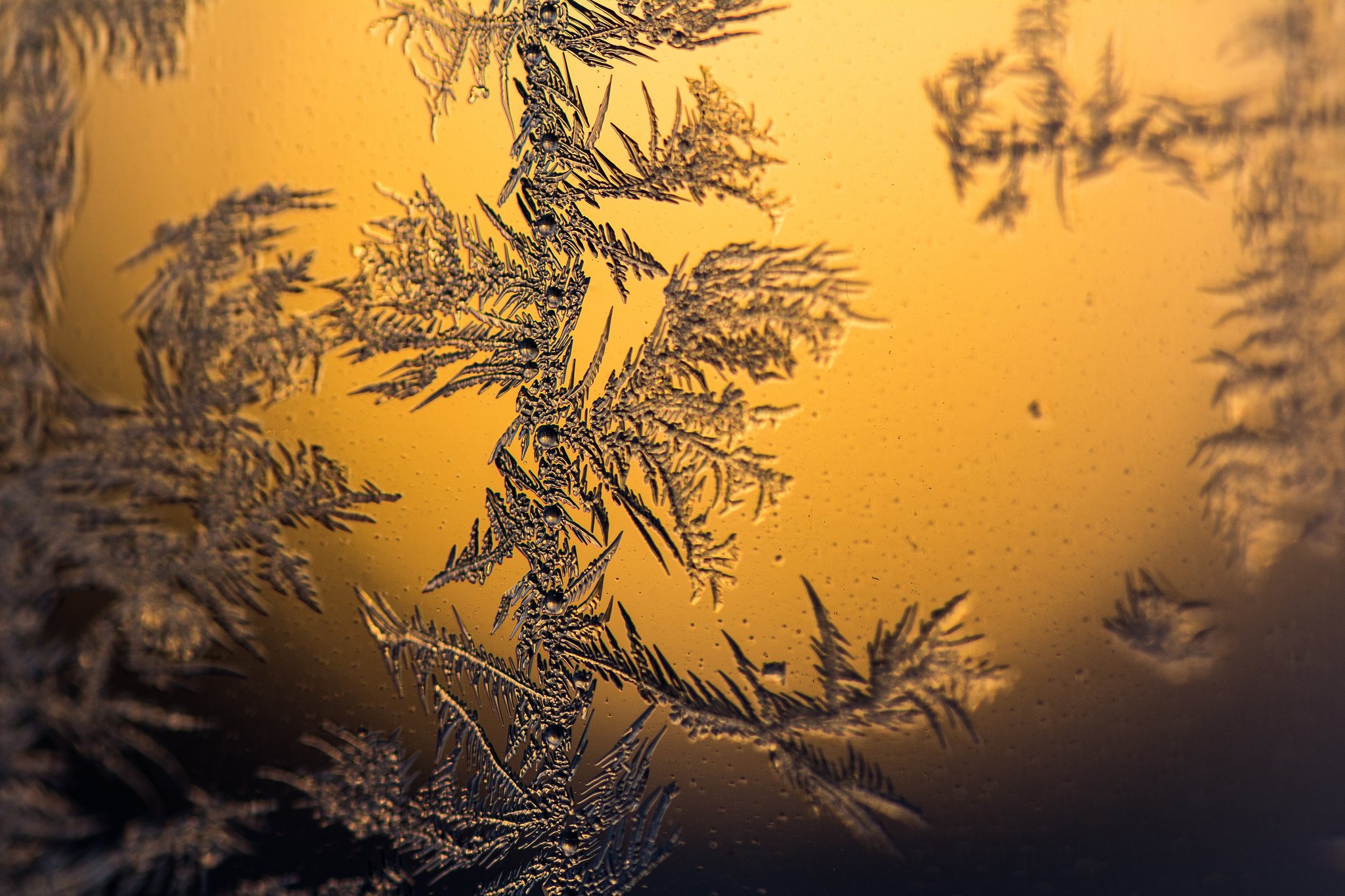 nature, Ice, Winter, Macro, Textures, Reflexions, Sculptures, Water, Art, Frozen Wallpaper