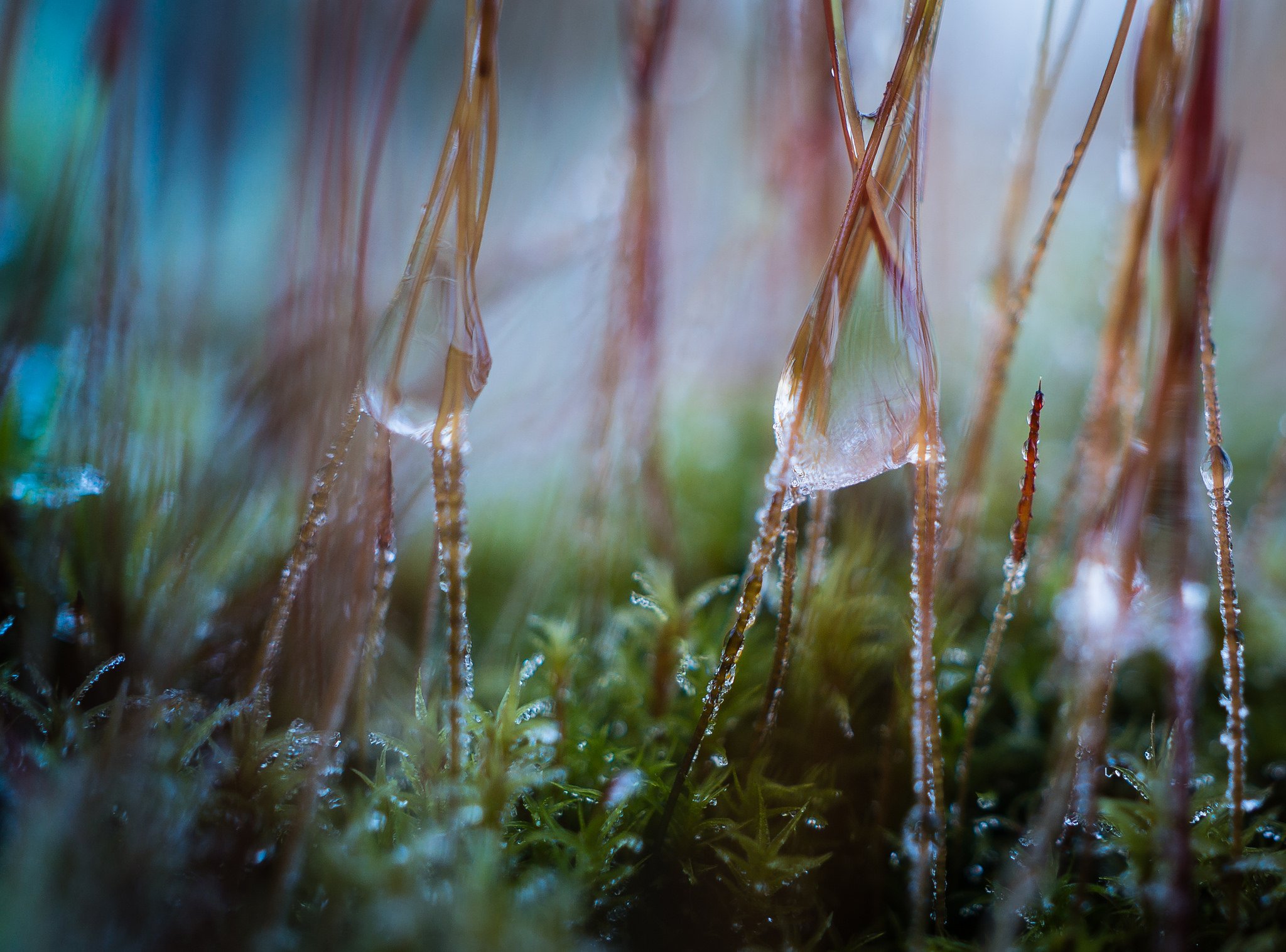 nature, Ice, Winter, Macro, Textures, Reflexions, Sculptures, Water, Art, Frozen Wallpaper