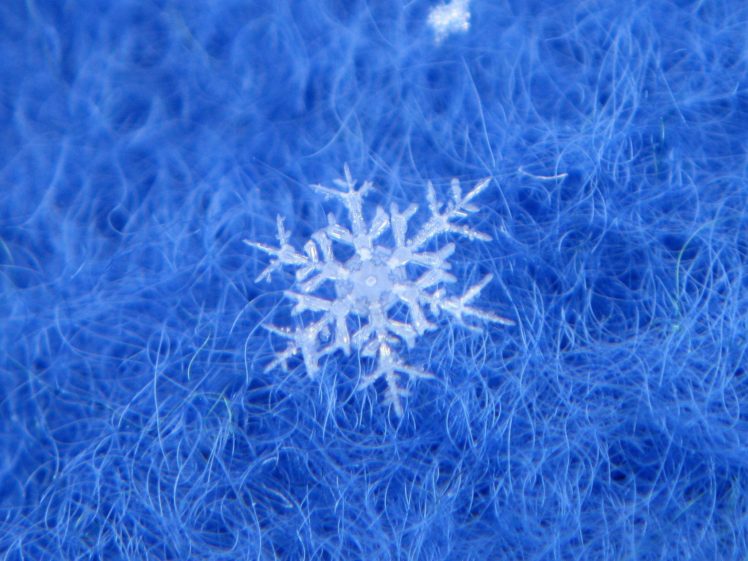 nature, Ice, Winter, Macro, Textures, Reflexions, Sculptures, Water, Art, Frozen HD Wallpaper Desktop Background