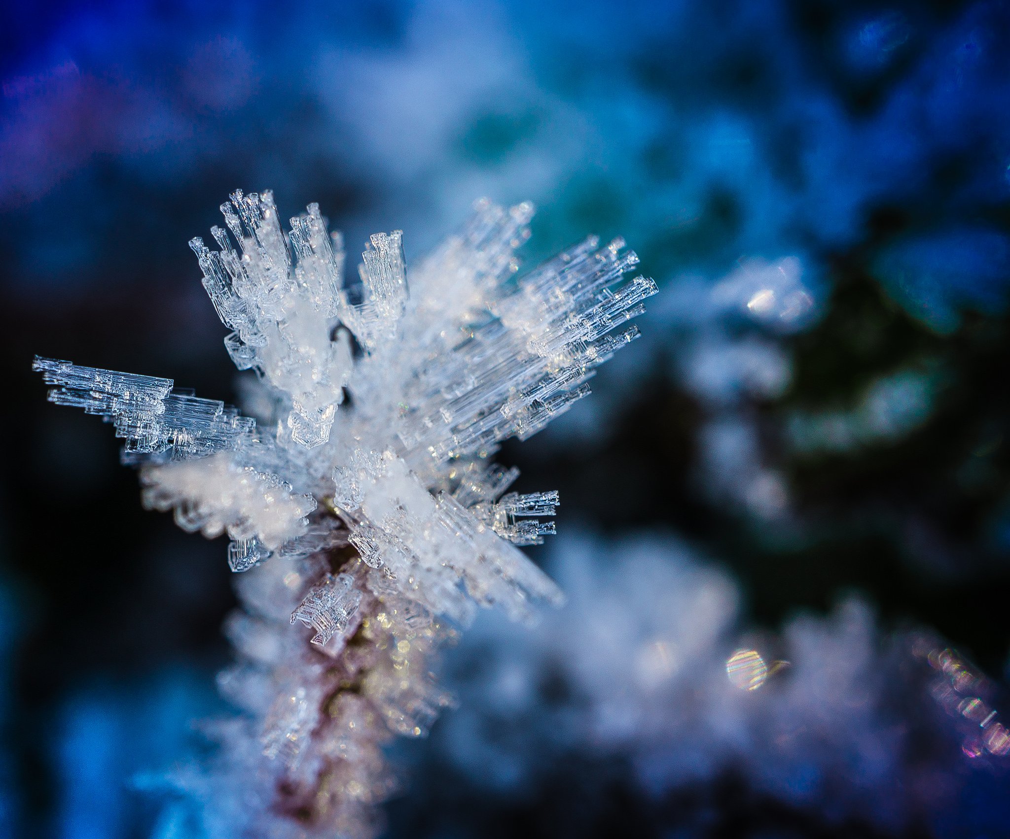 nature, Ice, Winter, Macro, Textures, Reflexions, Sculptures, Water, Art, Frozen Wallpaper