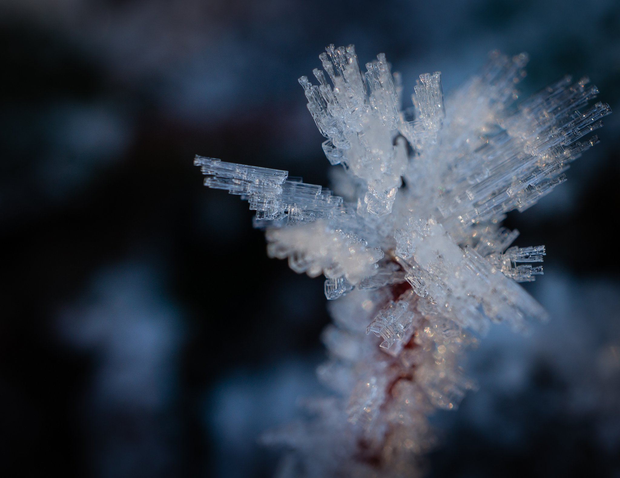 nature, Ice, Winter, Macro, Textures, Reflexions, Sculptures, Water, Art, Frozen Wallpaper