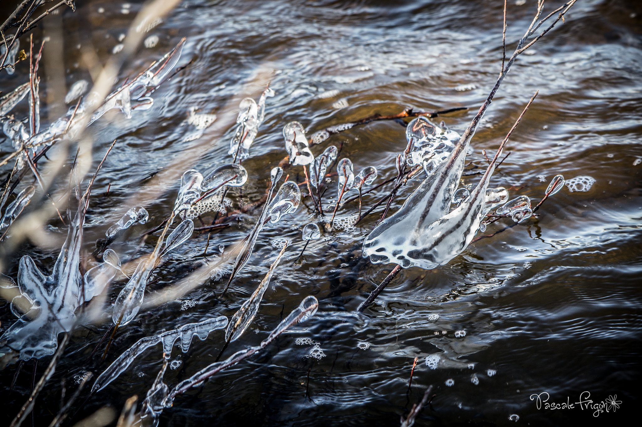 nature, Ice, Winter, Macro, Textures, Reflexions, Sculptures, Water, Art, Frozen Wallpaper