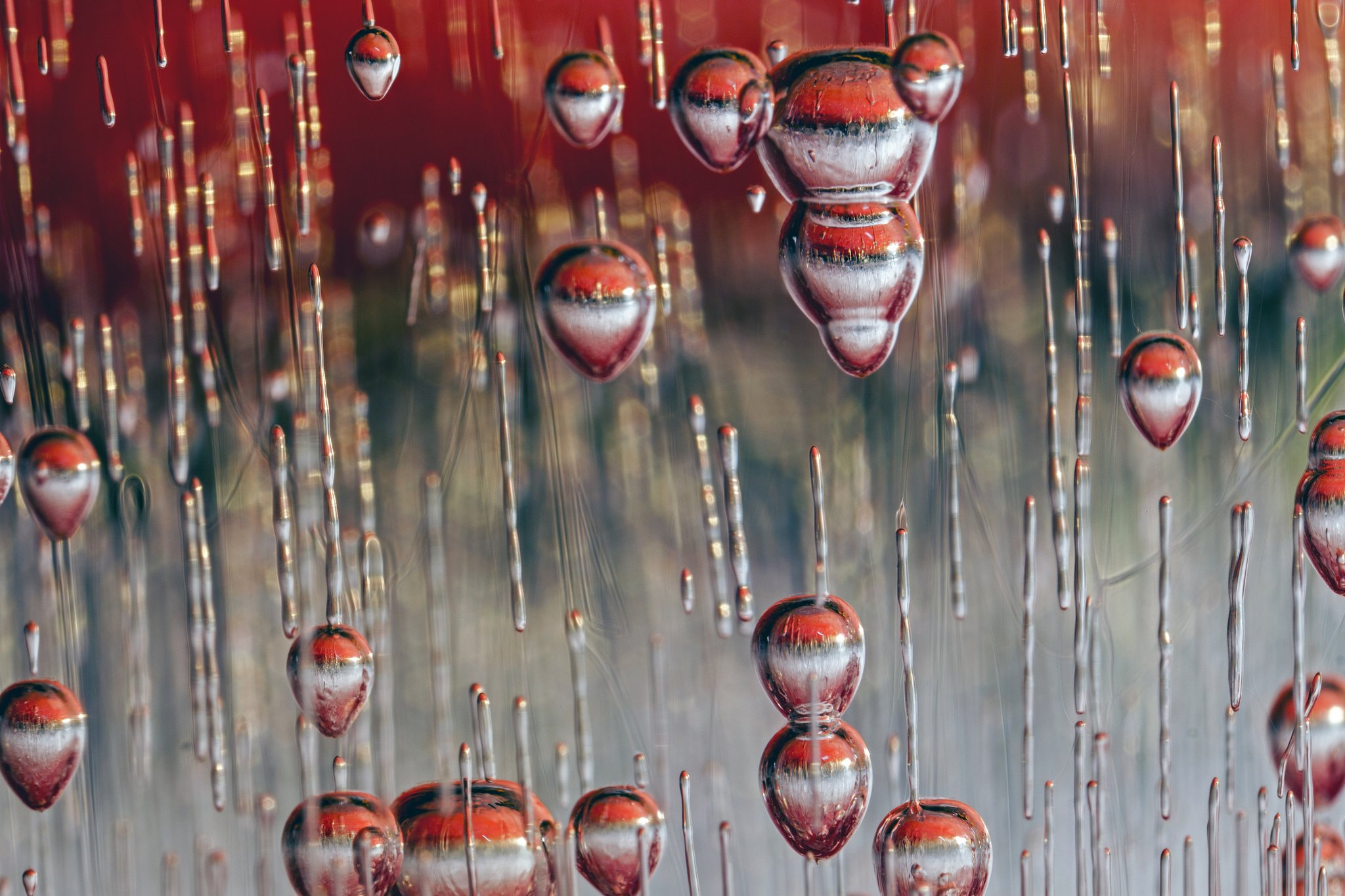 nature, Ice, Winter, Macro, Textures, Reflexions, Sculptures, Water, Art, Frozen Wallpaper
