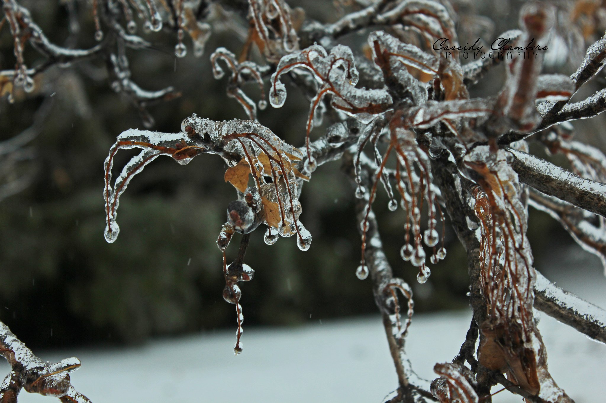 nature, Ice, Winter, Macro, Textures, Reflexions, Sculptures, Water, Art, Frozen Wallpaper