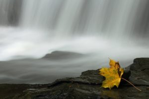 landscapes, Nature, Leaves, Waterfalls