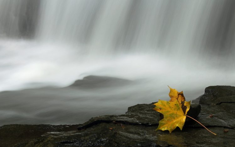 landscapes, Nature, Leaves, Waterfalls HD Wallpaper Desktop Background