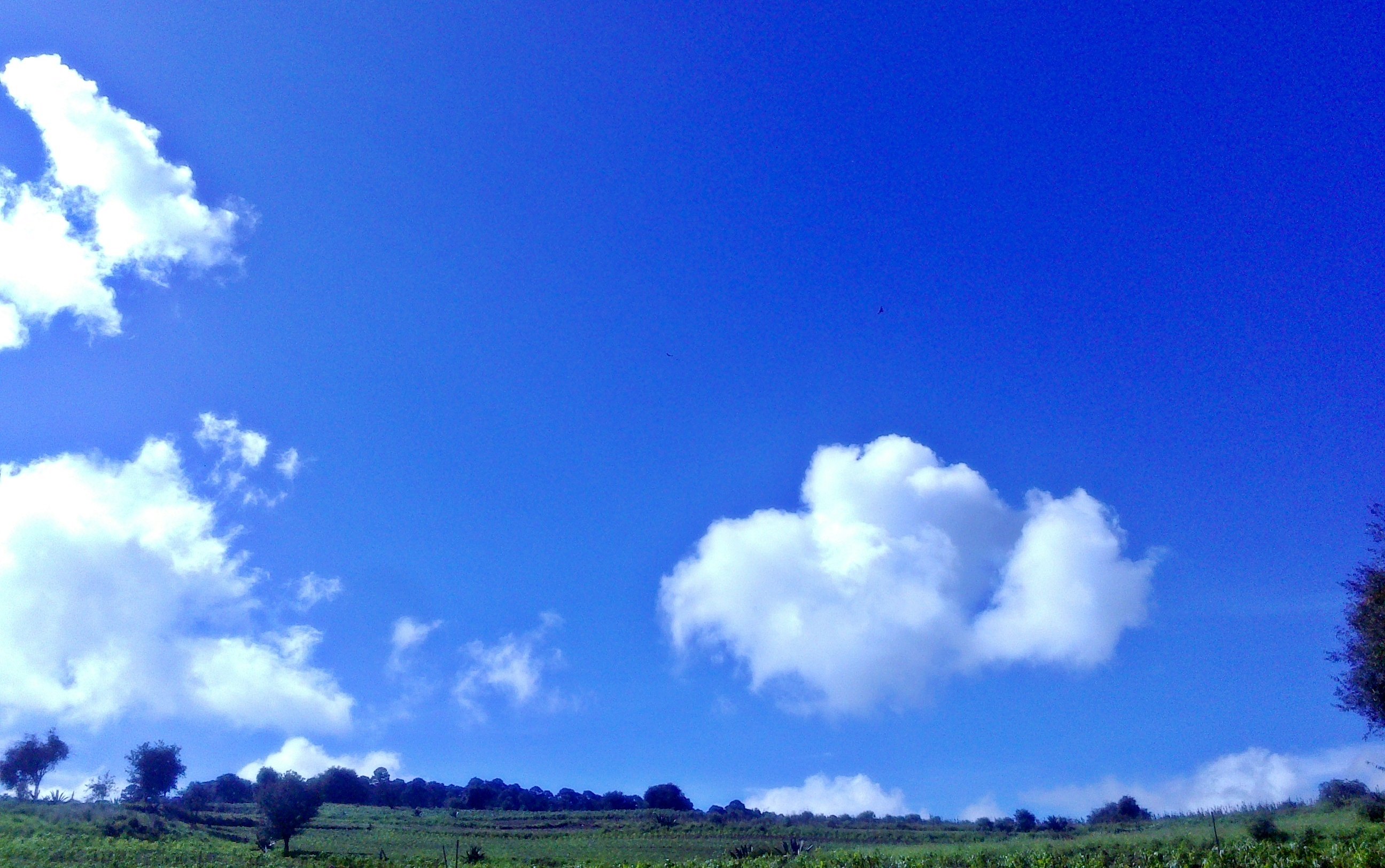 milpa, Alta, Santa, Ana, Tlacotenco Wallpaper