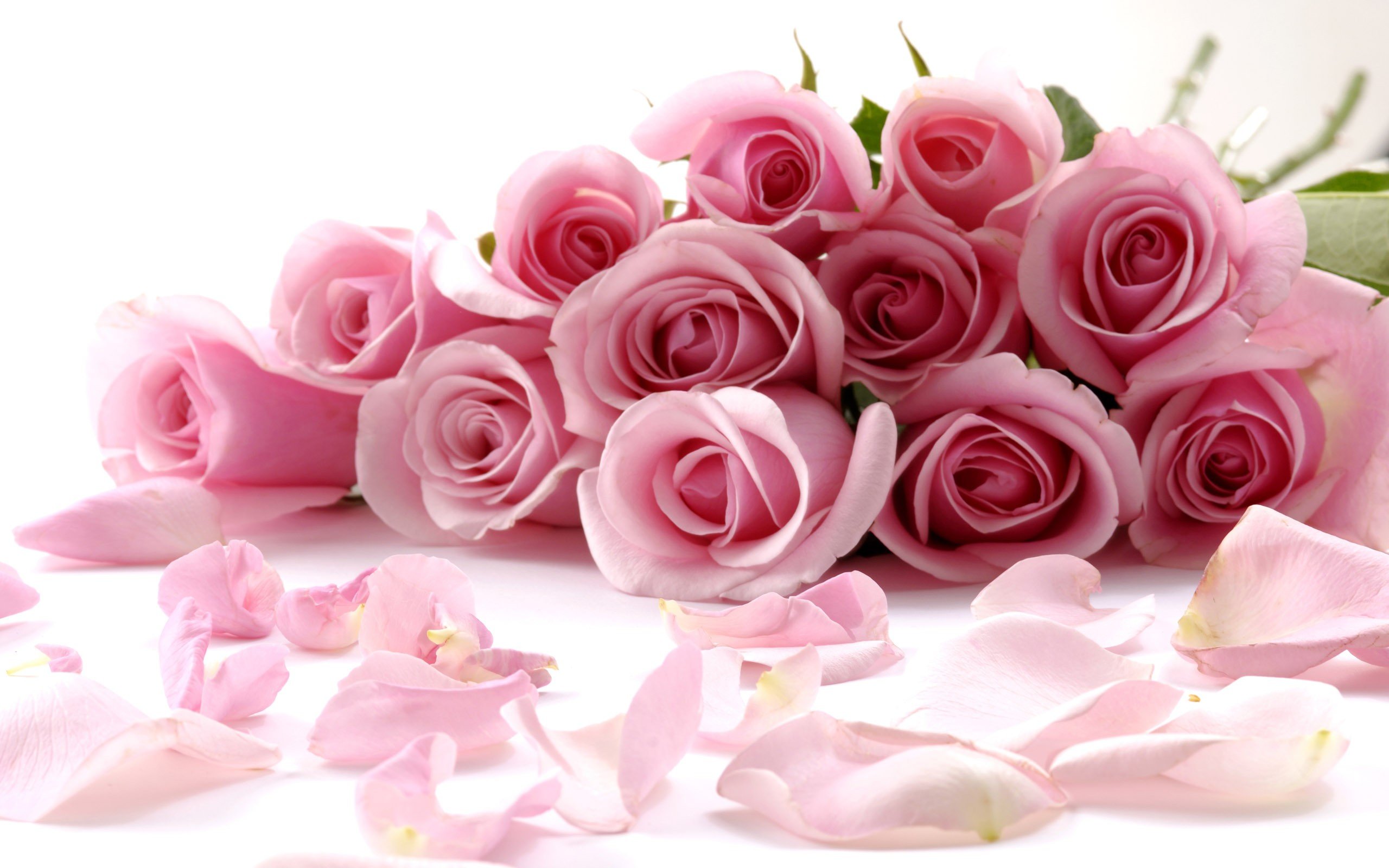 pink Wallpaper