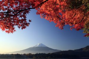 mountains, Mount, Fuji, Trees