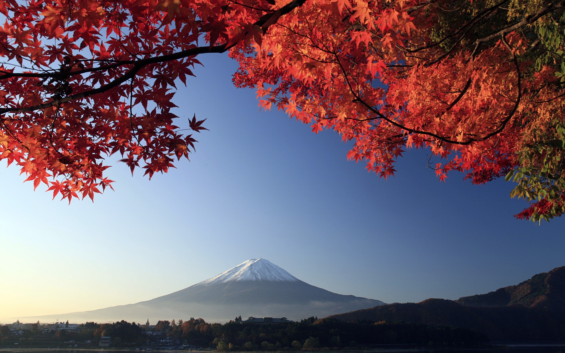 mountains, Mount, Fuji, Trees Wallpaper