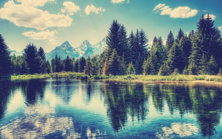 landscapes, Trees, Lakes HD Wallpaper Desktop Background
