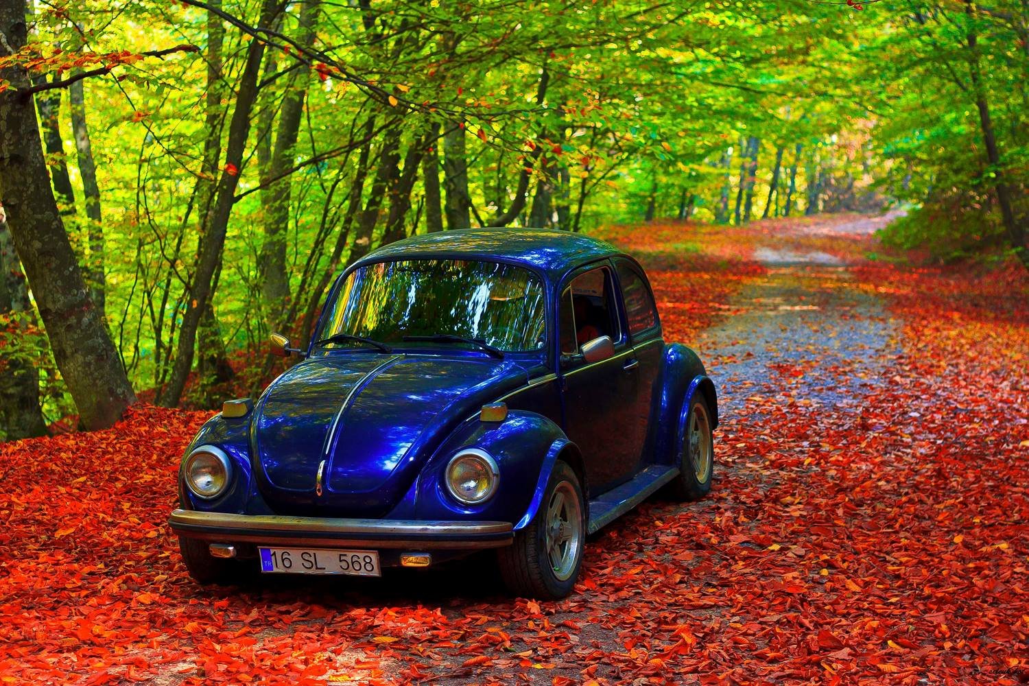 bursa, Turkey, Forest, Classic, Car, Tree, Landscape Wallpaper