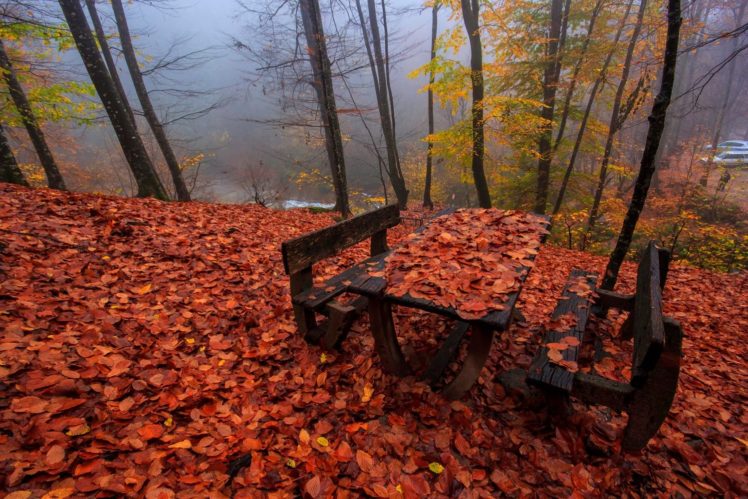 red, Forest, Turkey, Bursa, Tree, Fog, Autumn, Landscape HD Wallpaper Desktop Background