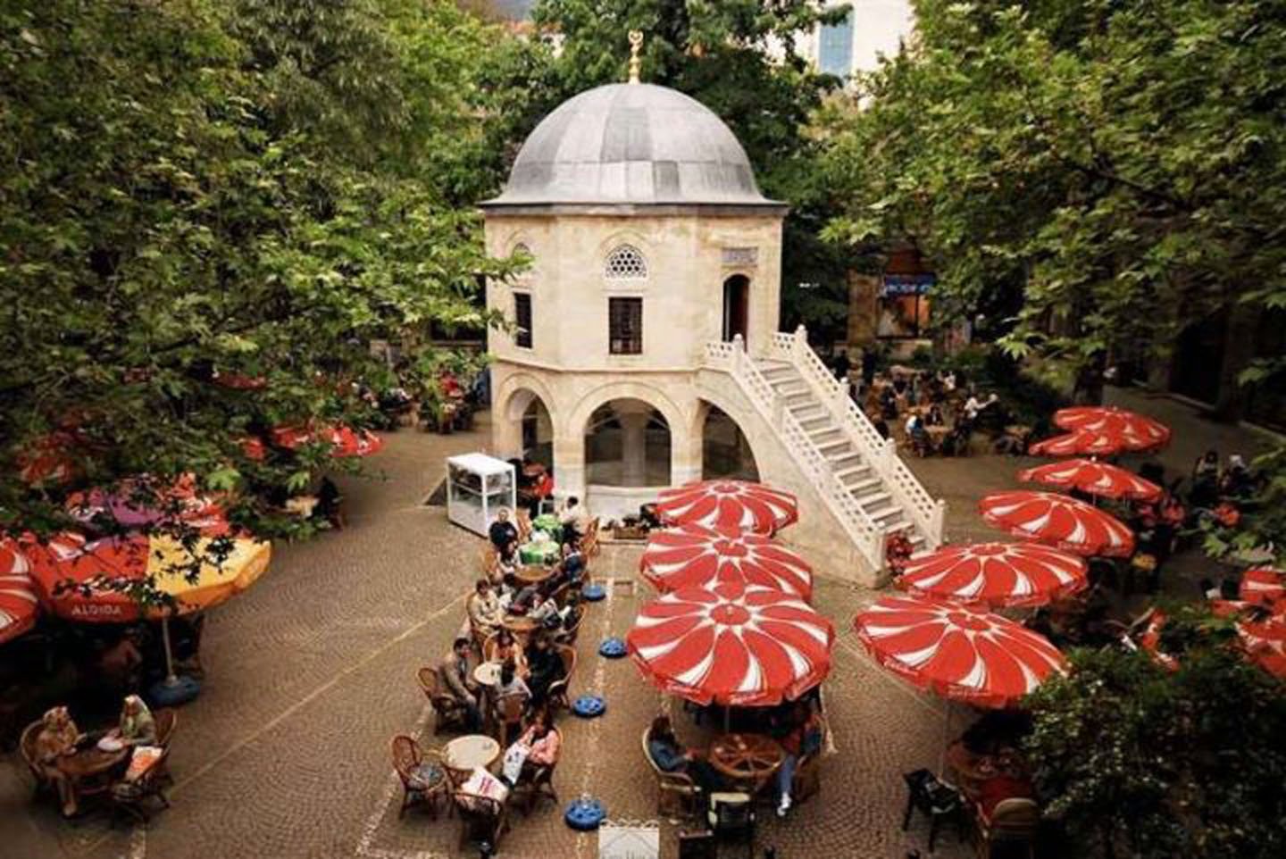 turkey, Bursa, Tree, Peoples, Tree Wallpaper