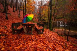 lake, Forest, Turkey, Bursa, Tree, Water, Autumn, Landscape, Waterfall, Color, Umbrella