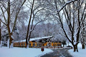 turkey, Bursa, Winter, Snow, Tree, Forest