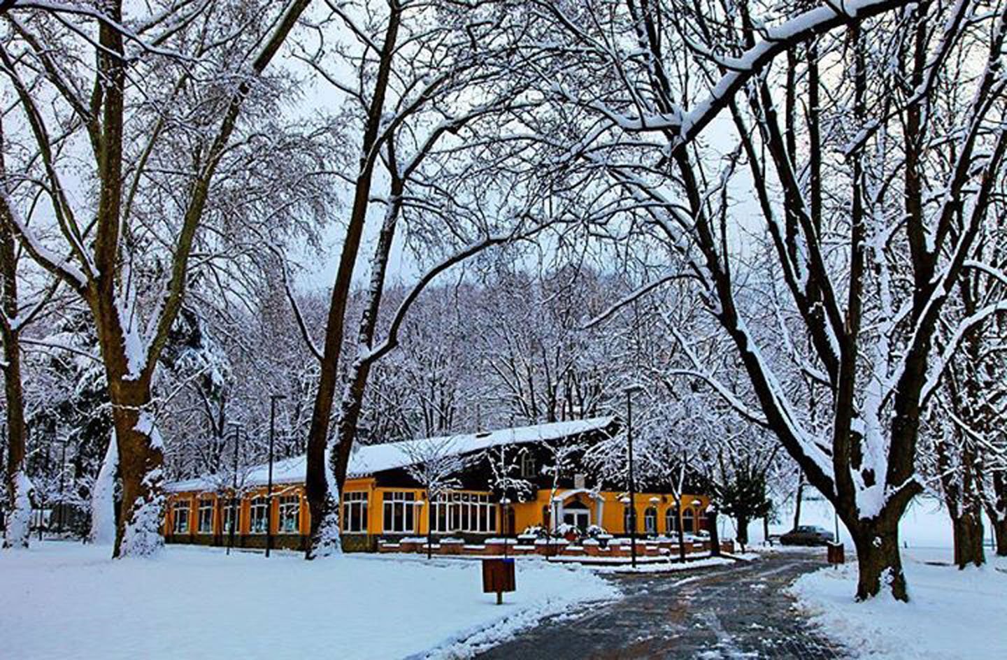 turkey, Bursa, Winter, Snow, Tree, Forest Wallpaper