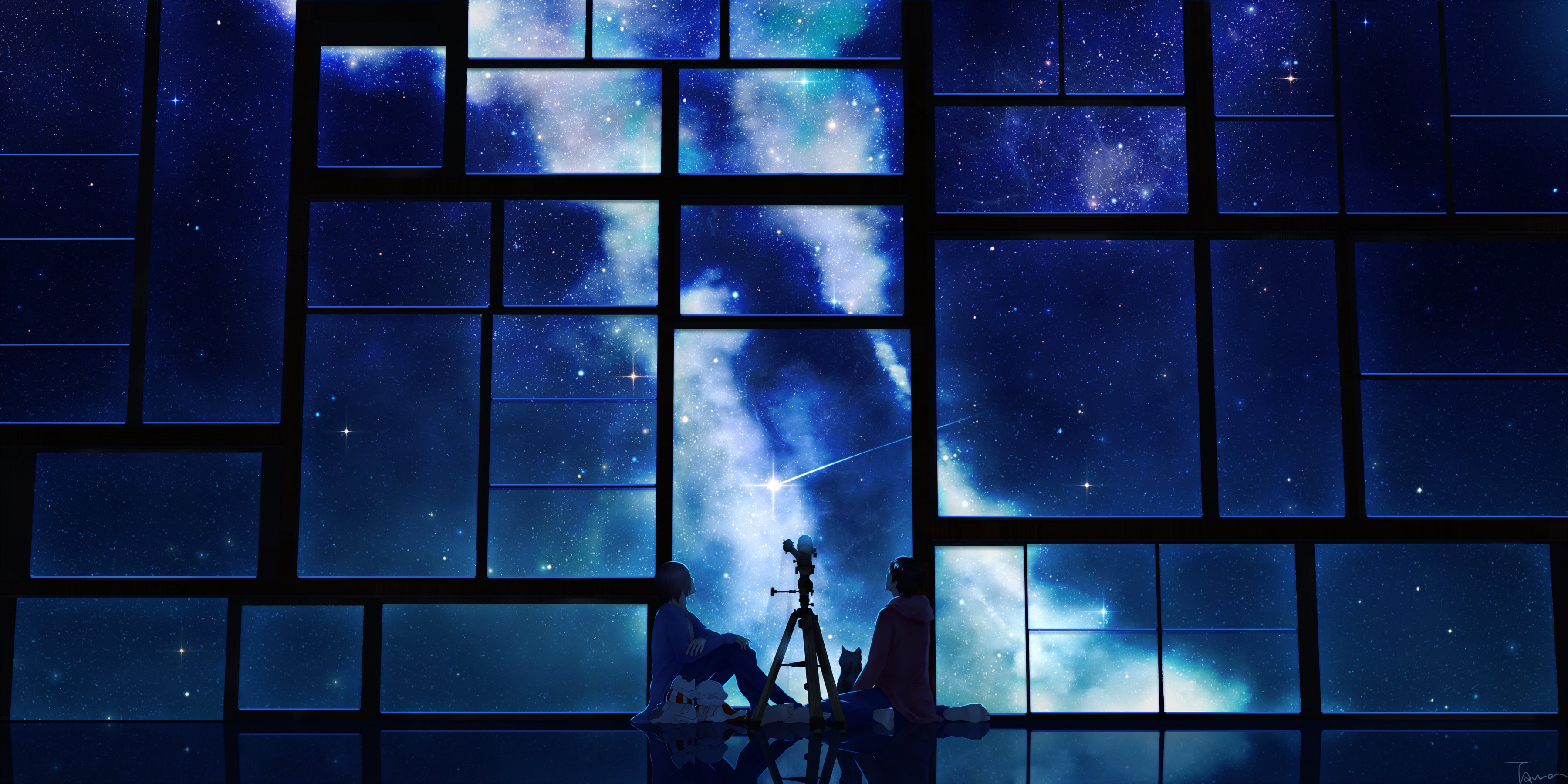 animal, Cat, Male, Night, Original, Scenic, Short, Hair, Sky, Stars, Tamagosho Wallpaper