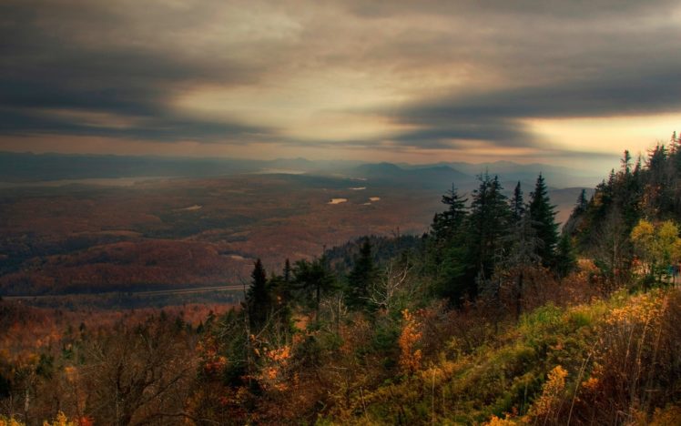 trees, Autumn,  season , Forest, Hills, Valley HD Wallpaper Desktop Background
