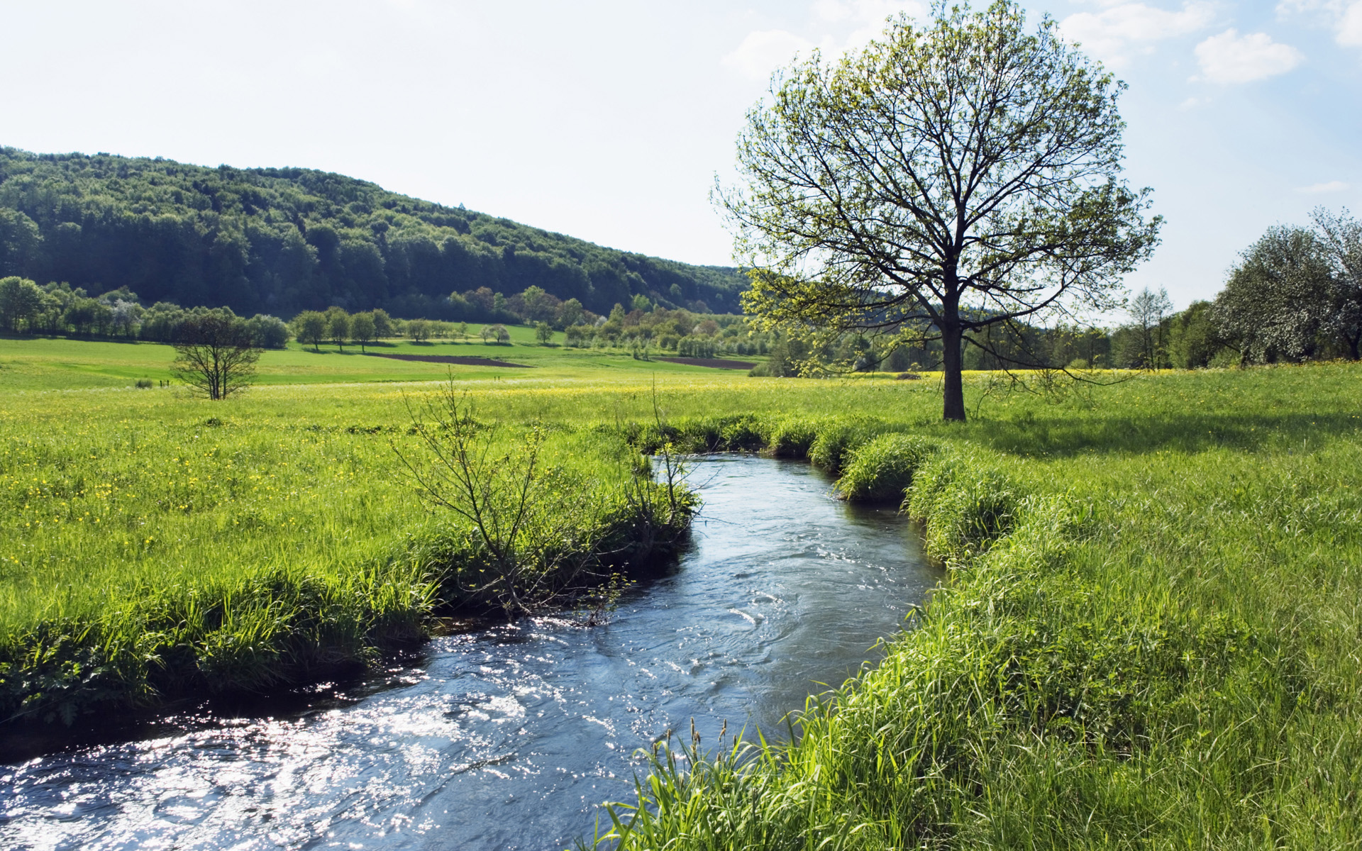 landscapes, Trees, Hills, Meadow, Rivers Wallpaper